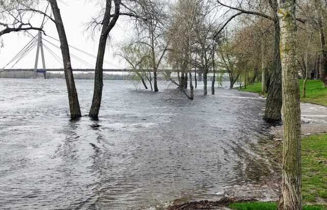 У Києві через підтоплення чоловіки ловили рибу прямо з машини