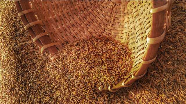 Болгария может запретить импорт украинского зерна