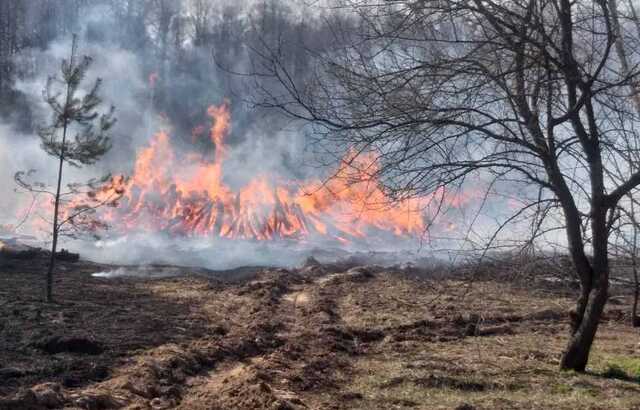 На півдні Китаю сталася масштабна лісова пожежа