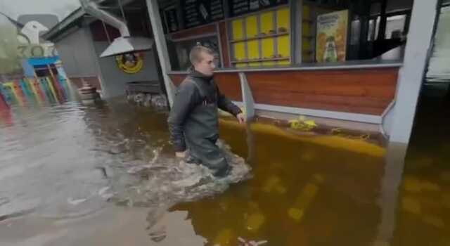 Як зараз виглядає затоплений парк Муромець у Києві