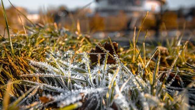 В Івано-Франківську та області завтра можливі заморозки