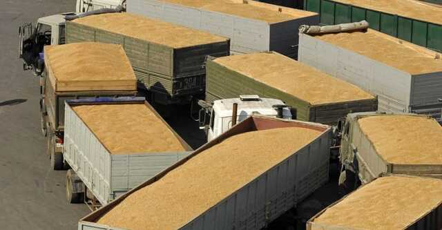 ООН готова помочь ЕС решить проблему украинского зерна, - Politico