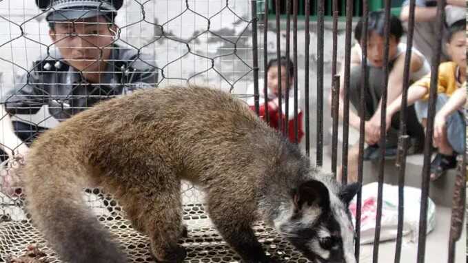 Все следы ведут в Ухань: как китайские власти переписывают историю пандемии