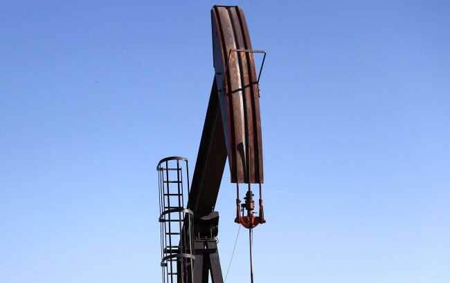 Лесные пожары в Канаде: в целях безопасности существенно сократили добычу нефти