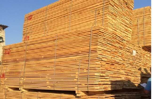 На Буковині заблоковано схему контрабанди деревини