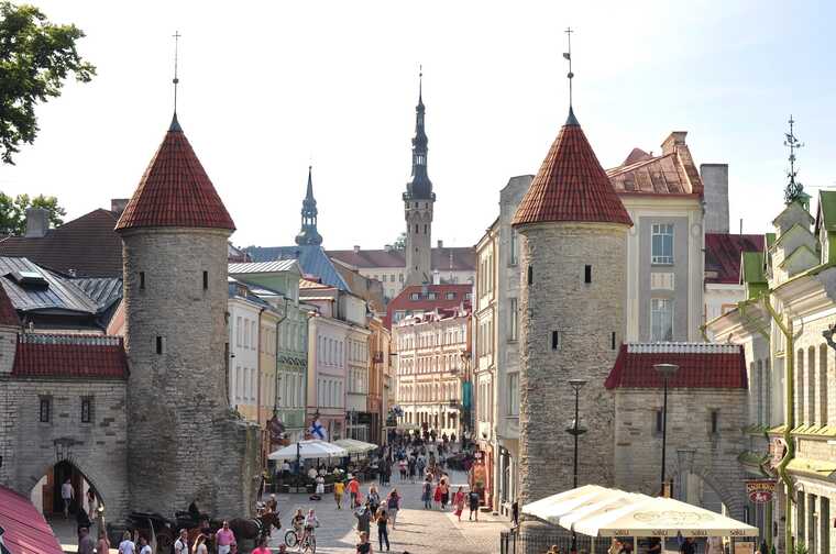 Понад 40% українських біженців знайшли роботу в Естонії