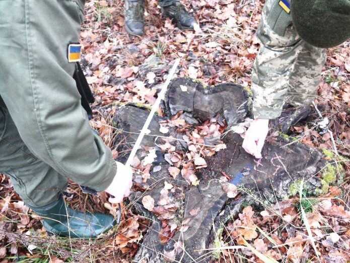 В Житомирской области экслесничего подозревают в злоупотреблениях