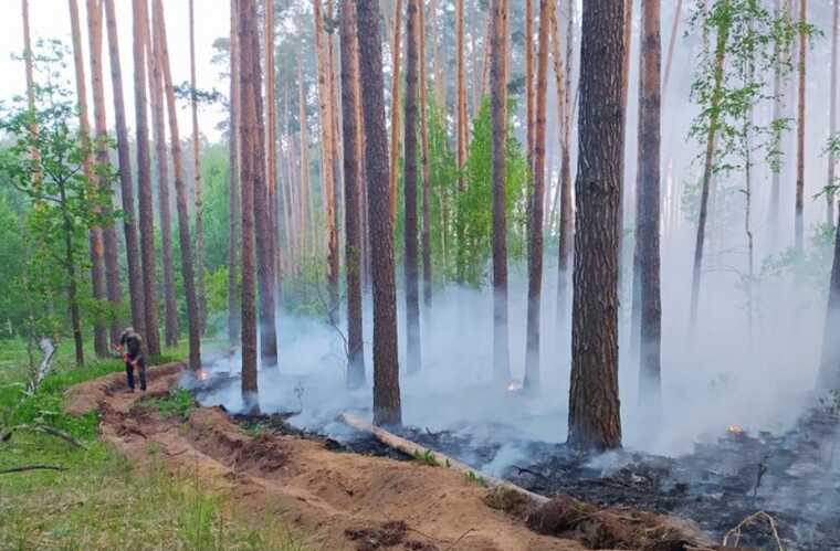 На Чернігівщині горить ліс, який окупанти обстріляли близько тижня тому