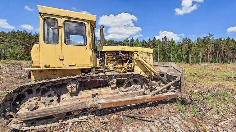 Бурштиновий сервітут: Амберкінг заходить до лісу через суд