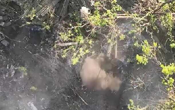 Батальйон "Едельвейс" показав, як "полює" на окупантів