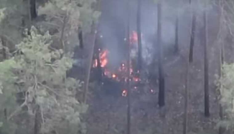 Прикордонники показали вибухові кадри підриву ворожого військового складу
