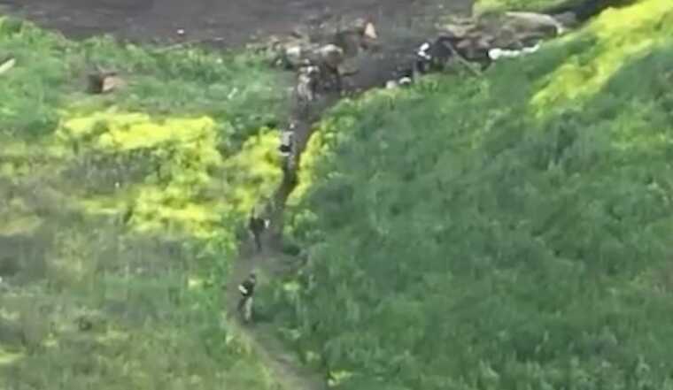 Дрон-камікадзе "Пегас" ліквідував групу окупантів, які ховались в окопі