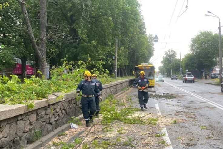 Поломані дерева та пошкоджені авто: рятувальники показали наслідки урагану в Києві 2 червня