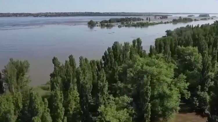 Оккупанты заявили об эвакуации с захваченного левого берега Днепра в Херсонской области