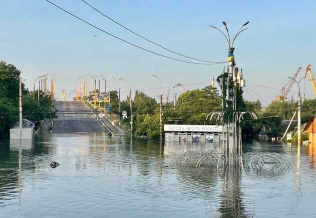 З останніх сил трималося за стінку: у затопленому Херсоні чоловік врятував кошеня