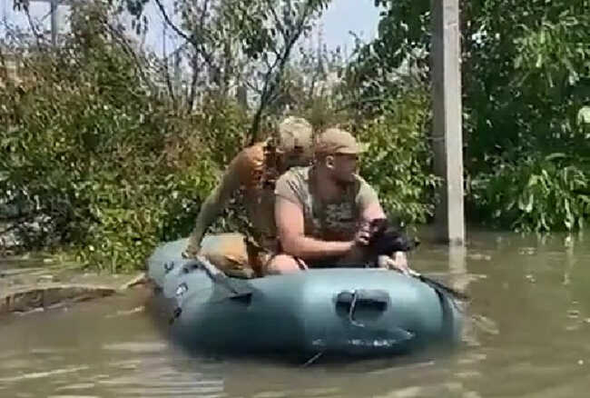 Пес дождался спасения в затопленном оккупантами деревне на Херсонщине
