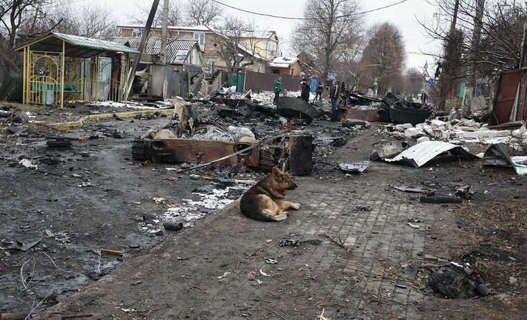 Чиновники украли на восстановлении Гостомеля 5 млн грн (как минимум)