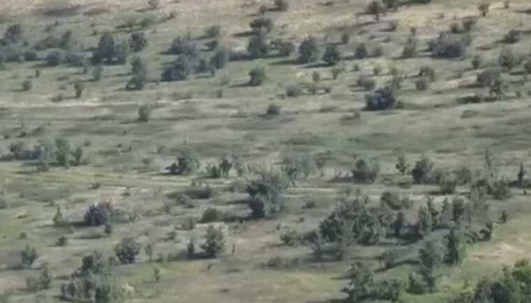 Росіяни біжать на Запорізькому напрямку та залишають позиції: що кажуть полонені