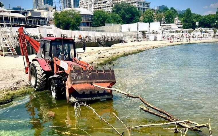 Море в Одесі перетворилося на "зелений борщ"