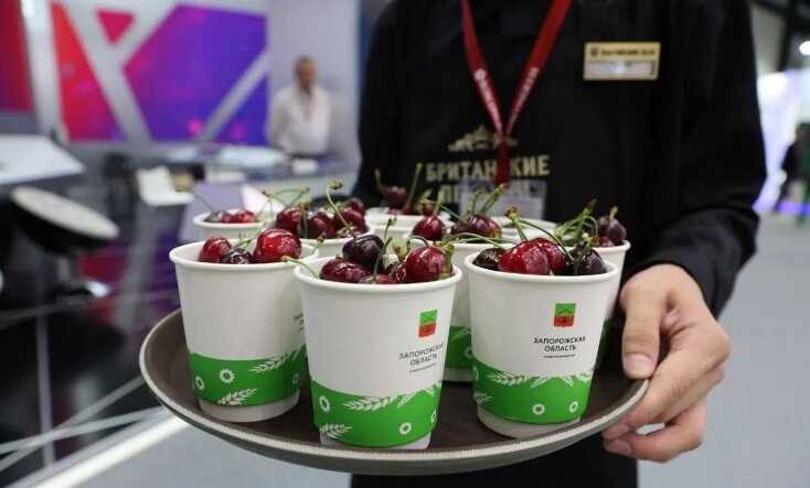Росія на форумі у Санкт-Петербурзі похвалилася вкраденою мелітопольською черешнею