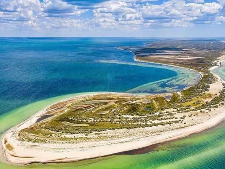 Окупанти перетворили острів Джарилгач на полігон і роблять екоцид – Генштаб