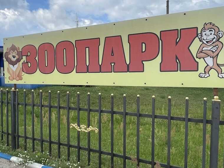 На Полтавщині у приватному зоопарку лев покусав чоловіка