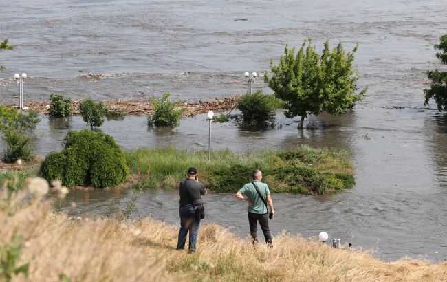 "Загинула вся популяція": після підриву Каховської ГЕС повністю зник рідкісний вид риби