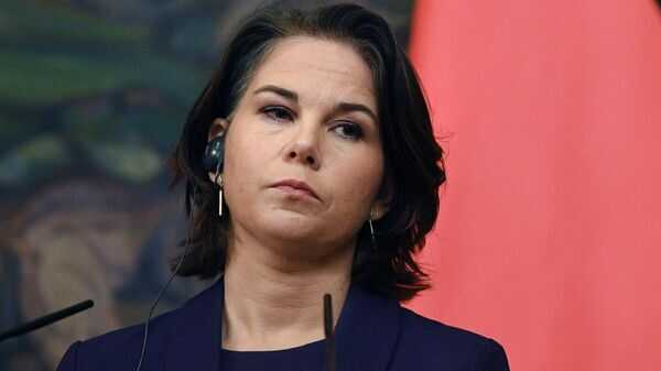 Глава МЗС Німеччини виступила проти передачі Україні касетних боєприпасів