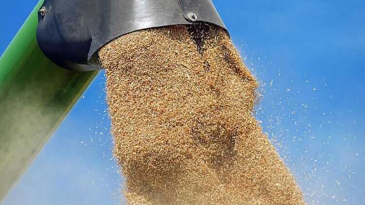 Окупанти можуть продовжити зернову угоду. ЗМІ з’ясували умову