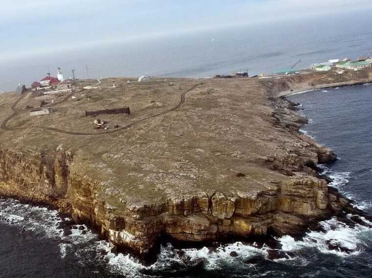 "Дебилы": в ГУР процитировали Лаврова из-за атаки оккупантов на Змеиный