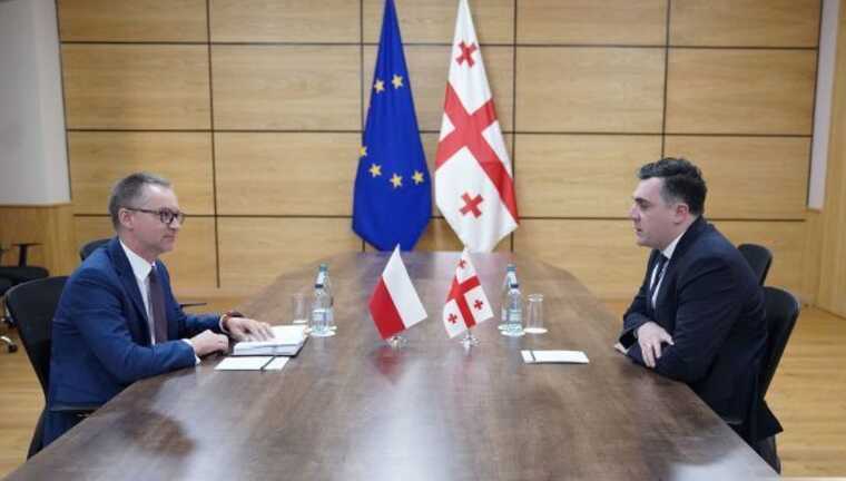 Грузия вызвала "на ковер" посла Польши из-за похищения анализов Саакашвили
