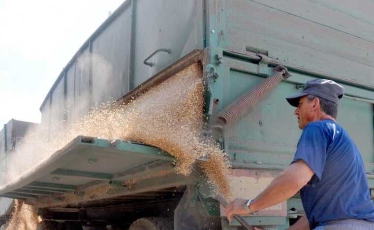 Китай готовий купувати крадене українське зерно за безцінь у Росії, — ЗМІ