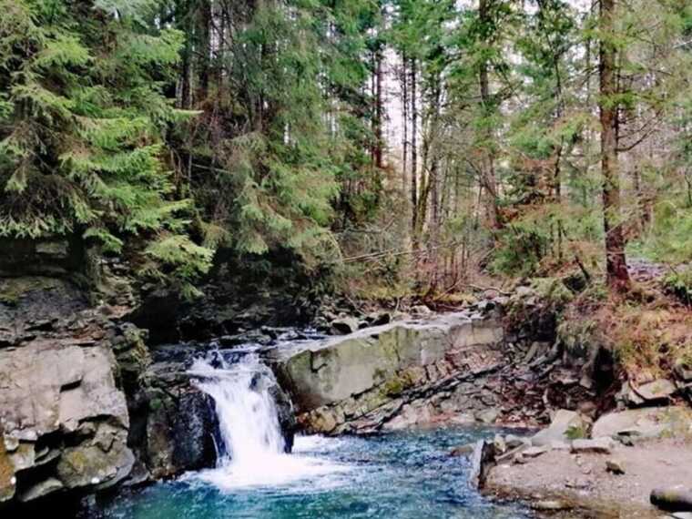 На известном курорте Прикарпатья киевлянка, катаясь на квадроцикле, упала со склона