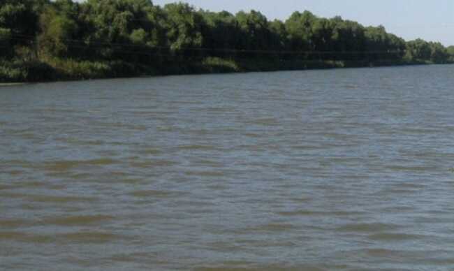 Прокуратура требует от предпринимателя освободить 339 га земли водохранилища в Белоцерковском районе