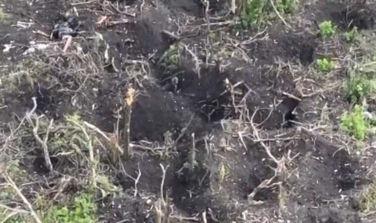 Оккупанты-мародеры обворовывают своих и оставляют умирать на поле боя