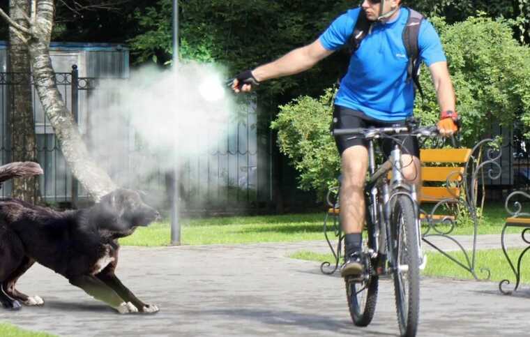 Ездил по улице и стрелял в собак: В Киеве задержан велосипедист-нарушитель