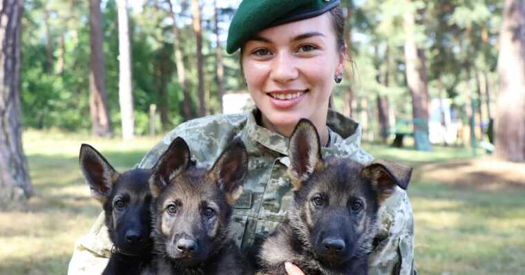 Прикордонники готують чотирилапих друзів до оборони України