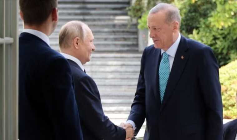 Турция подготовит новые предложения по возобновлению зернового соглашения, - Эрдоган