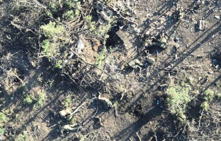 Назавжди залишаться у полі: з’явилося відео ювелірного знищення мінометниками окупантів під Бахмутом