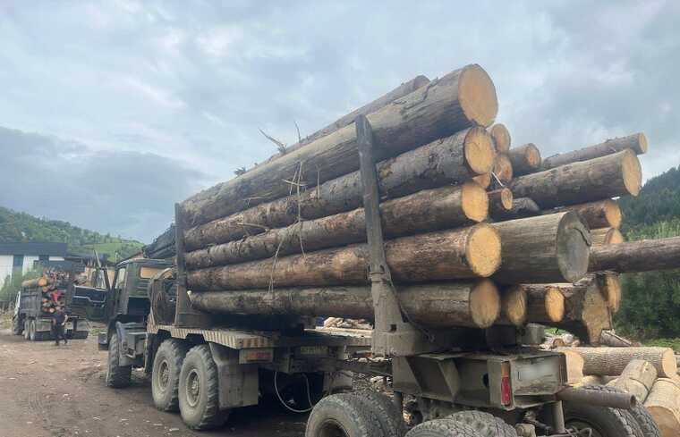 На Раховщине полицейские изъяли из подпольного цеха партию нелегальной древесины