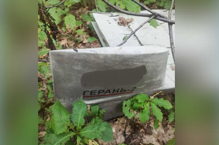 На Львівщині в лісі знайшли уламки російського "шахеда": на місці працюють вибухотехніки