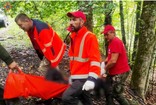 67-річного закарпатця, якого шукали в лісі, знайшли мертвим