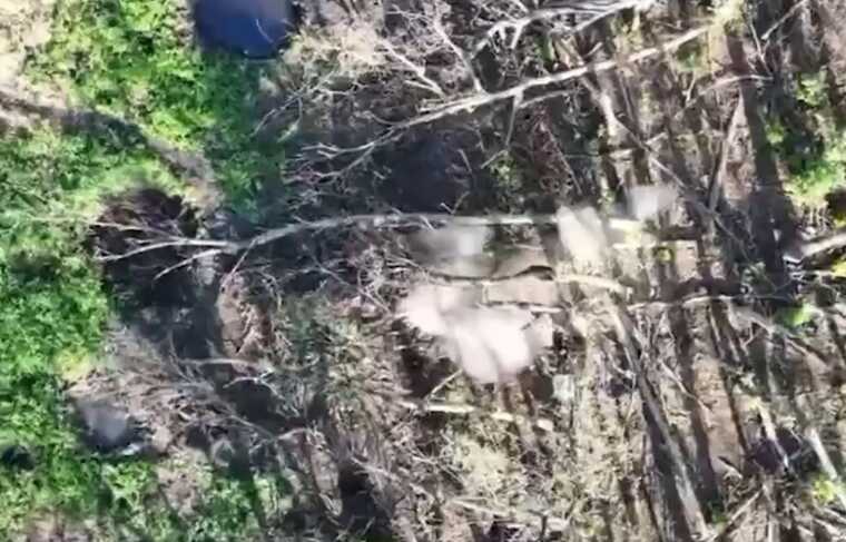 Бійці ССО знищили окупанта з дрона: Скинули вибухівку прямо на спину