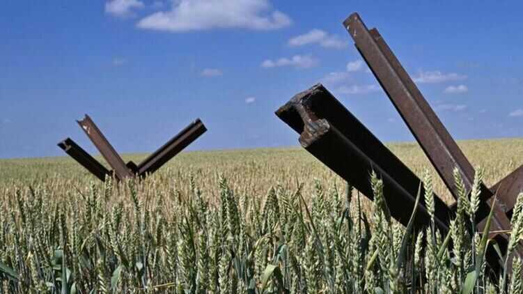 Логістика, що подорожчала, робить українське сільське господарство збитковим - заступник міністра аграрної політики