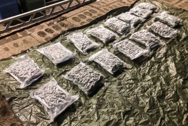 У Польщу спробували ввезти 120 кг канабісу під виглядом томатної пасти з Іспанії