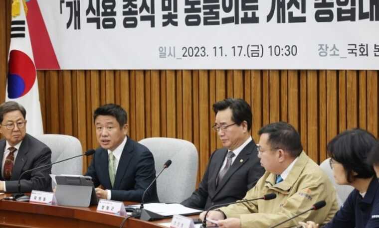 У Південній Кореї з 2027 року хочуть заборонити споживання собачого м’яса