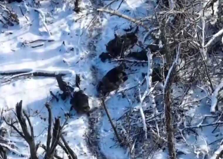 Военные 30 ОМБр уничтожают оккупантов, притворяющихся мертвыми