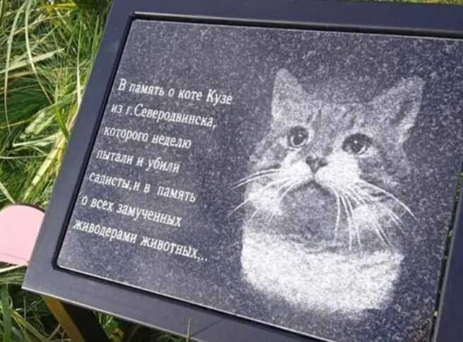 ЗСУ ліквідували окупанта, який замучив у РФ до смерті кота