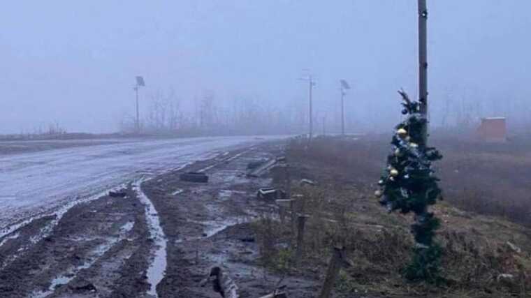 В сети опубликовали фотографию "главной елки страны"