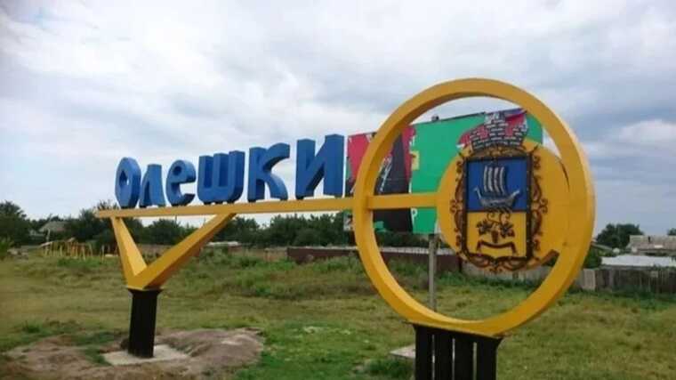 Українські військові точним ударом знищили командно-спостережний пункт ворога в окупованих Олешках